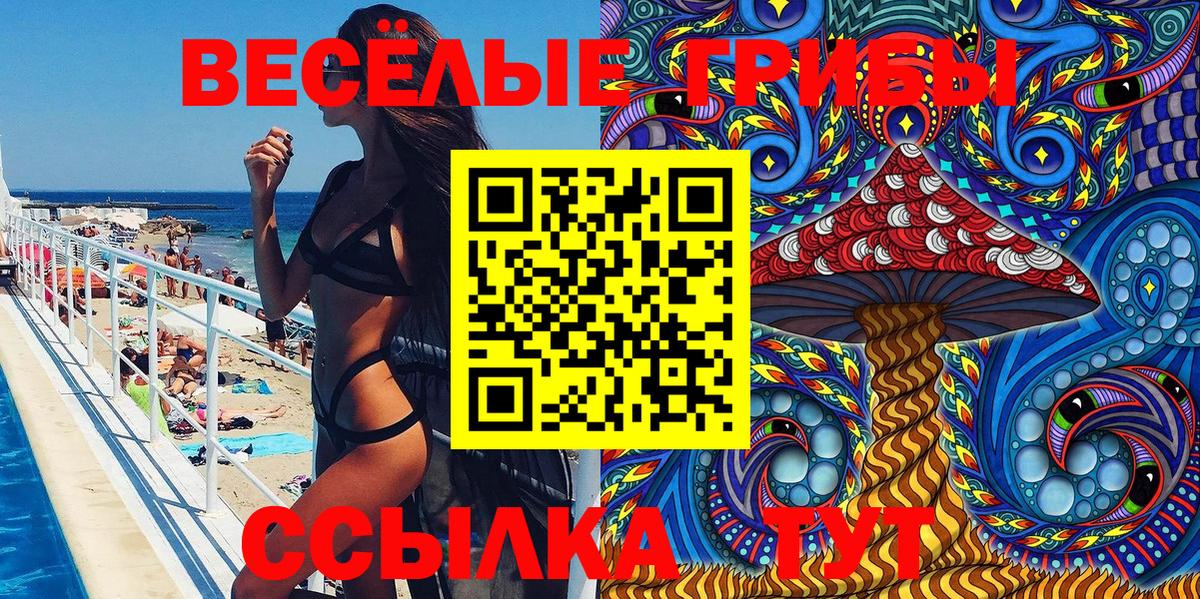 Псилоцибиновые грибы Cubensis Норильск